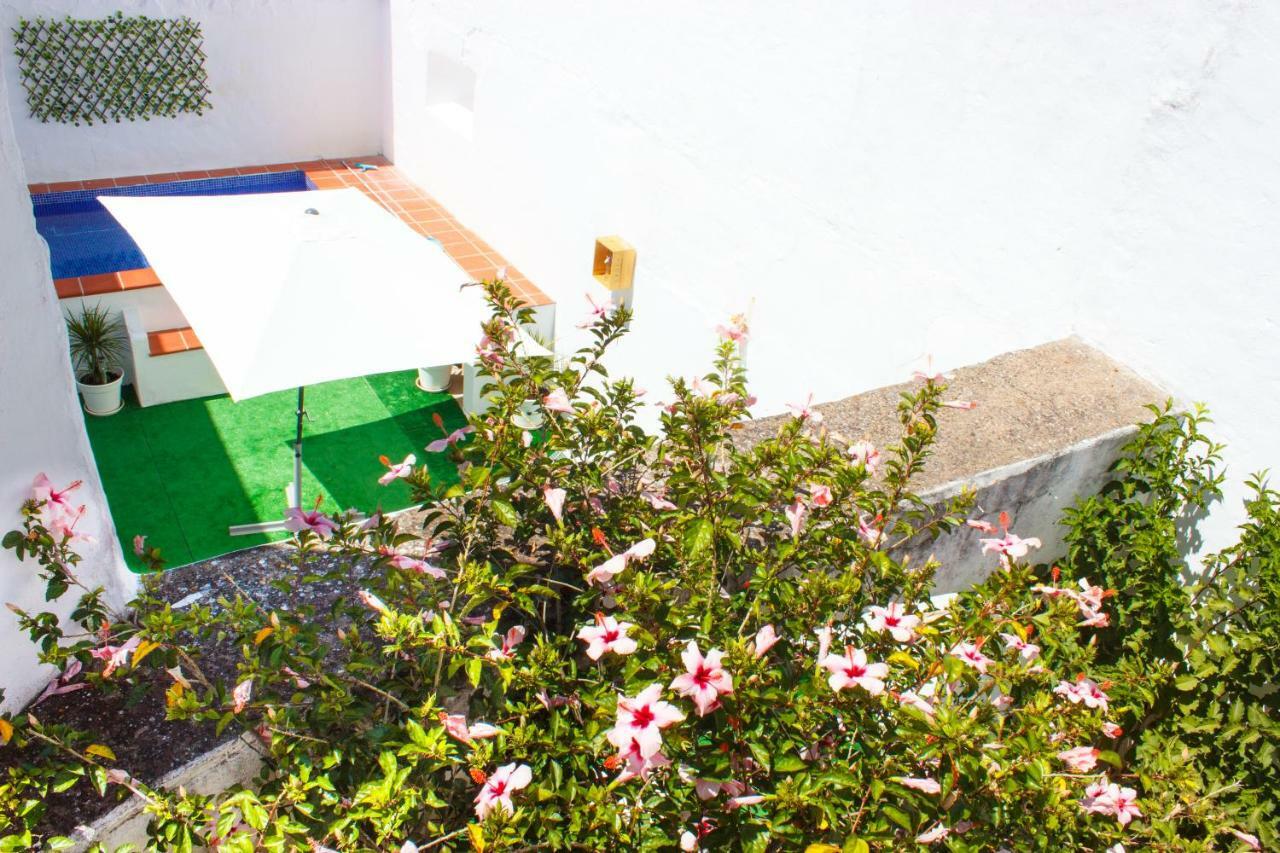 Casa Dos Tios Estremoz-Veiros Villa Bagian luar foto